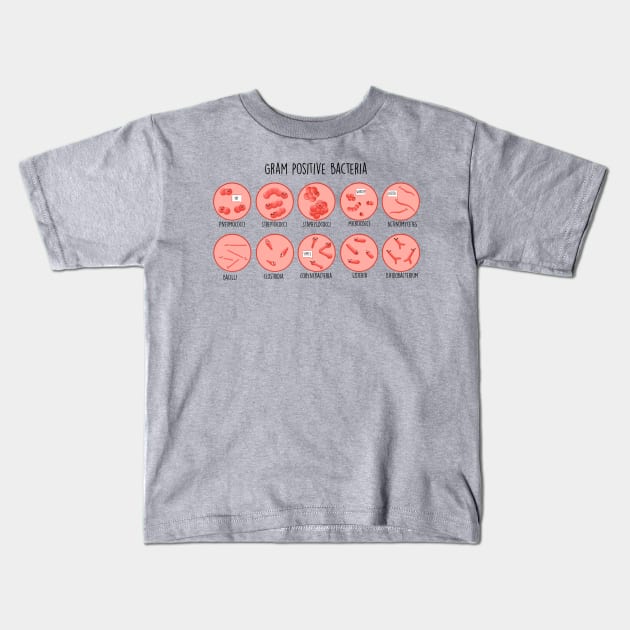 Gram Positive Bacteria Kids T-Shirt by MorvernDesigns